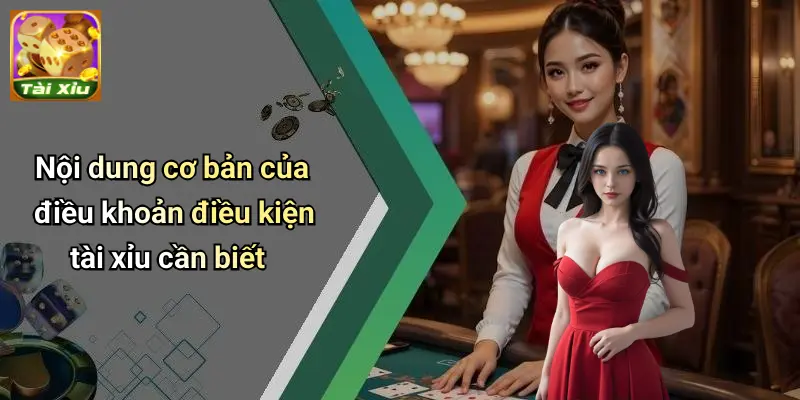 Nội dung cơ bản của điều khoản điều kiện tài xỉu cần biết