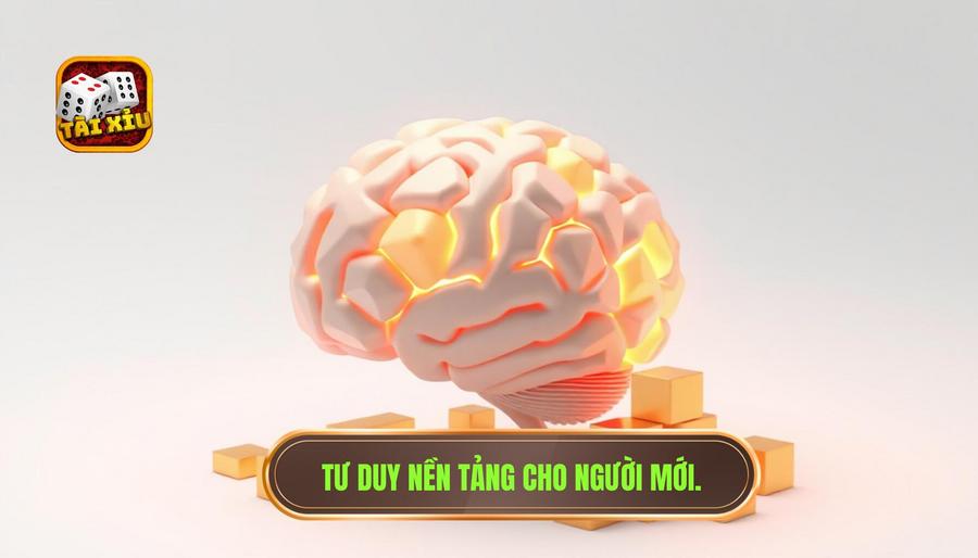 Định hình tư duy: Nền tảng quan trọng nhất cho người mới