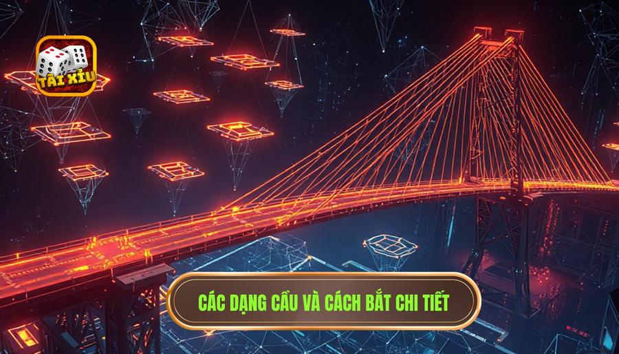 Tổng hợp những dạng cầu thường gặp nhất và cách bắt cầu chi tiết