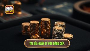 Cách chia vốn khi chơi tài xỉu hiệu quả